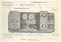 1-2 W Br m42 innanmäte.jpg