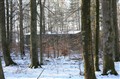 Bokhultet 6.JPG