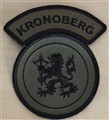 HVbat Kronoberg.JPG